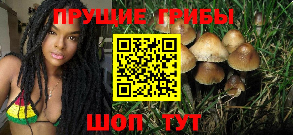 купить наркотики цена  Псилоцибиновые грибы Magic Shrooms  Вход с VPN  Дедовск 