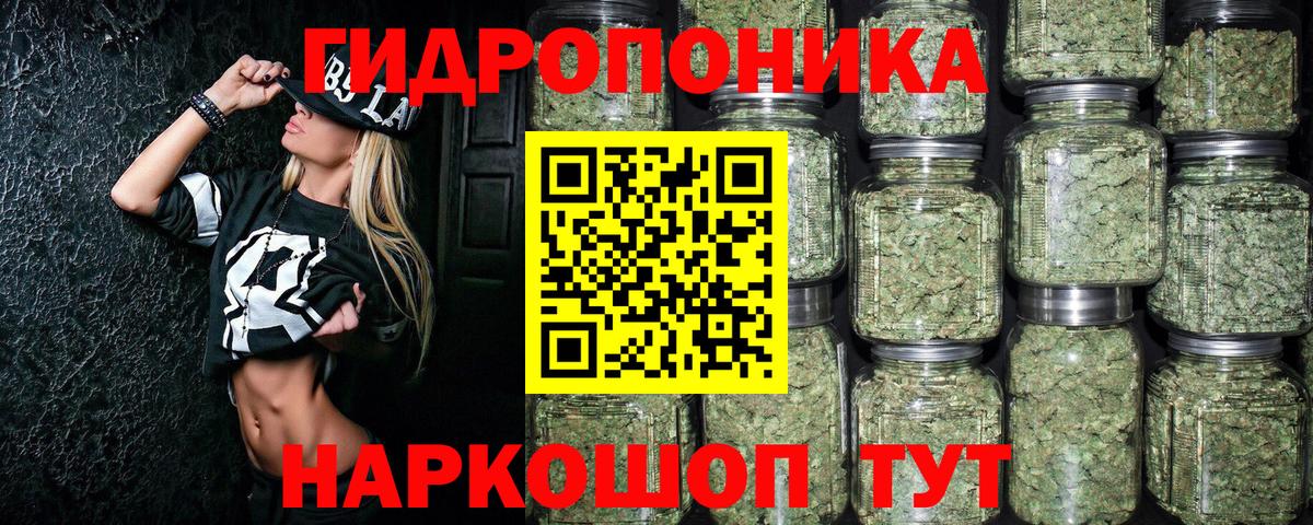 Шишки марихуана индика Дедовск